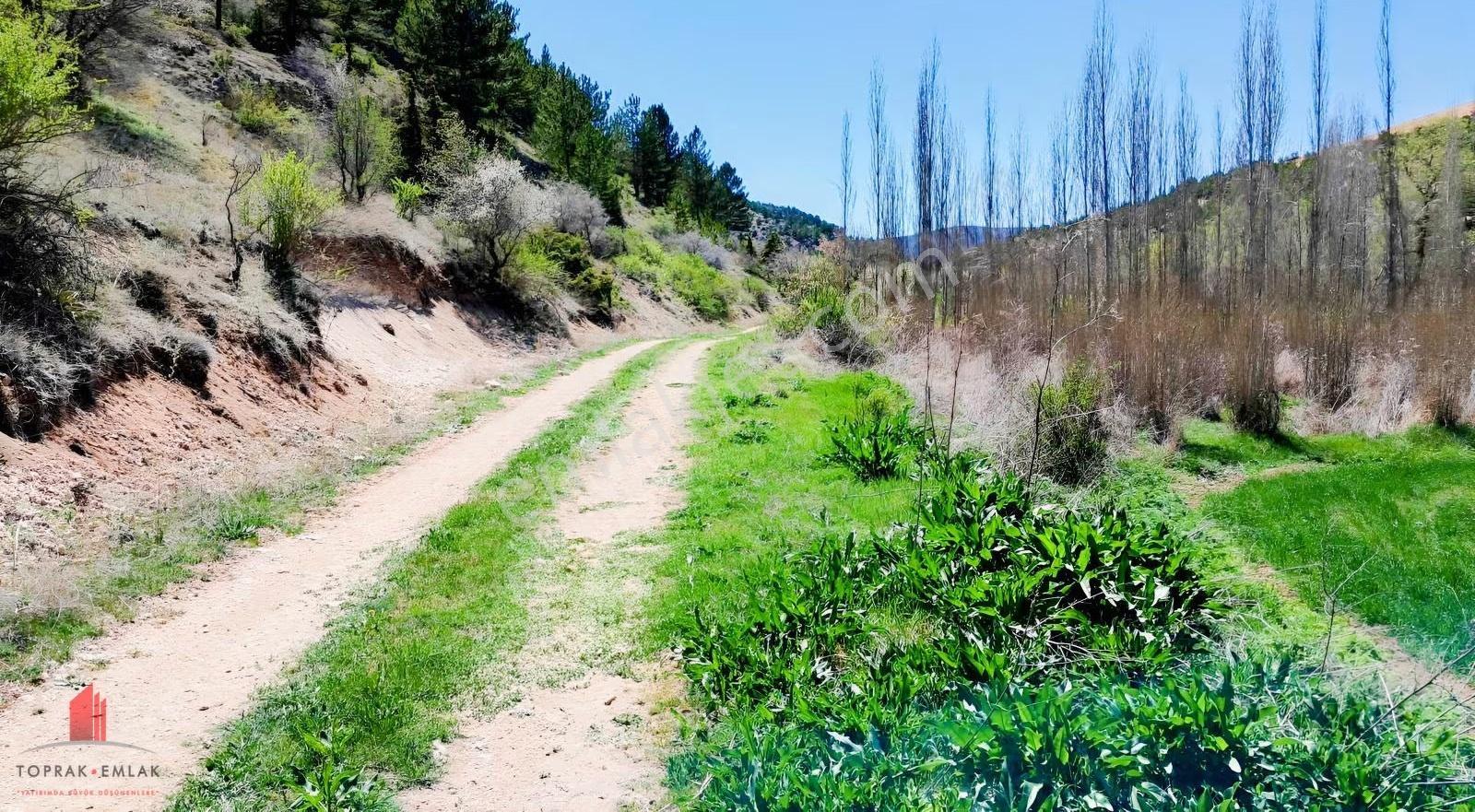 Başarakavakta Dere Kenarında 3068m2 Müstakil Satılık Bahçe - Görsel 7