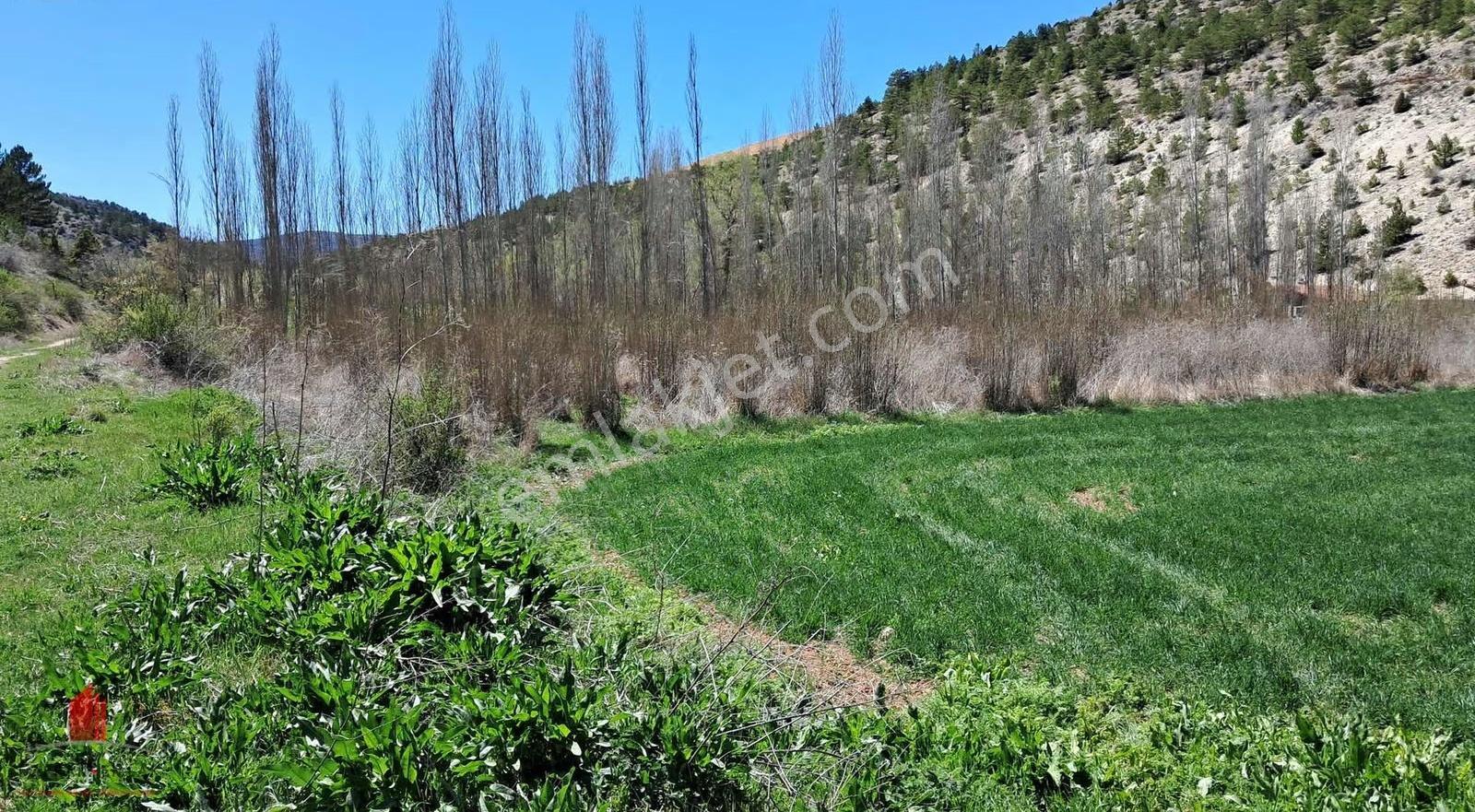Başarakavakta Dere Kenarında 3068m2 Müstakil Satılık Bahçe - Görsel 9