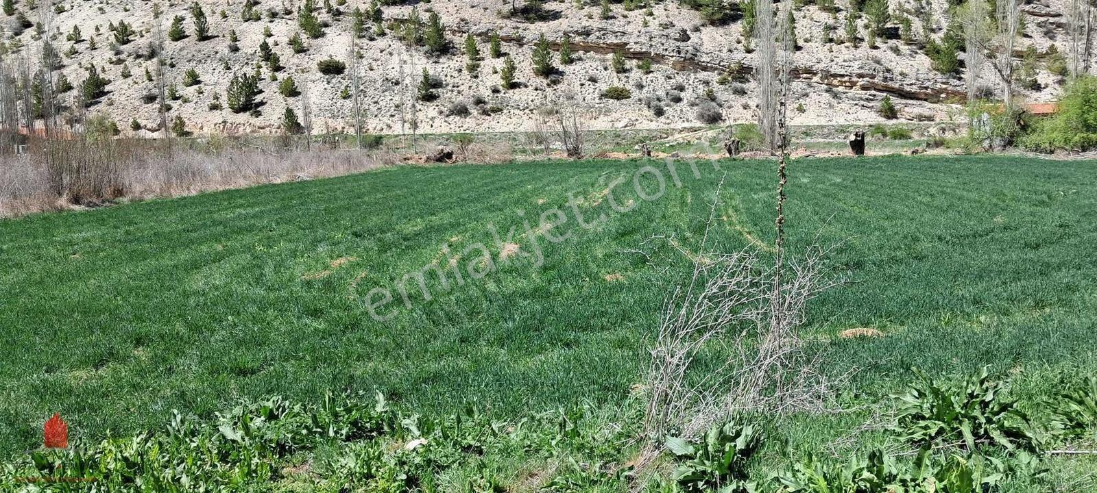 Başarakavakta Dere Kenarında 3068m2 Müstakil Satılık Bahçe - Görsel 28