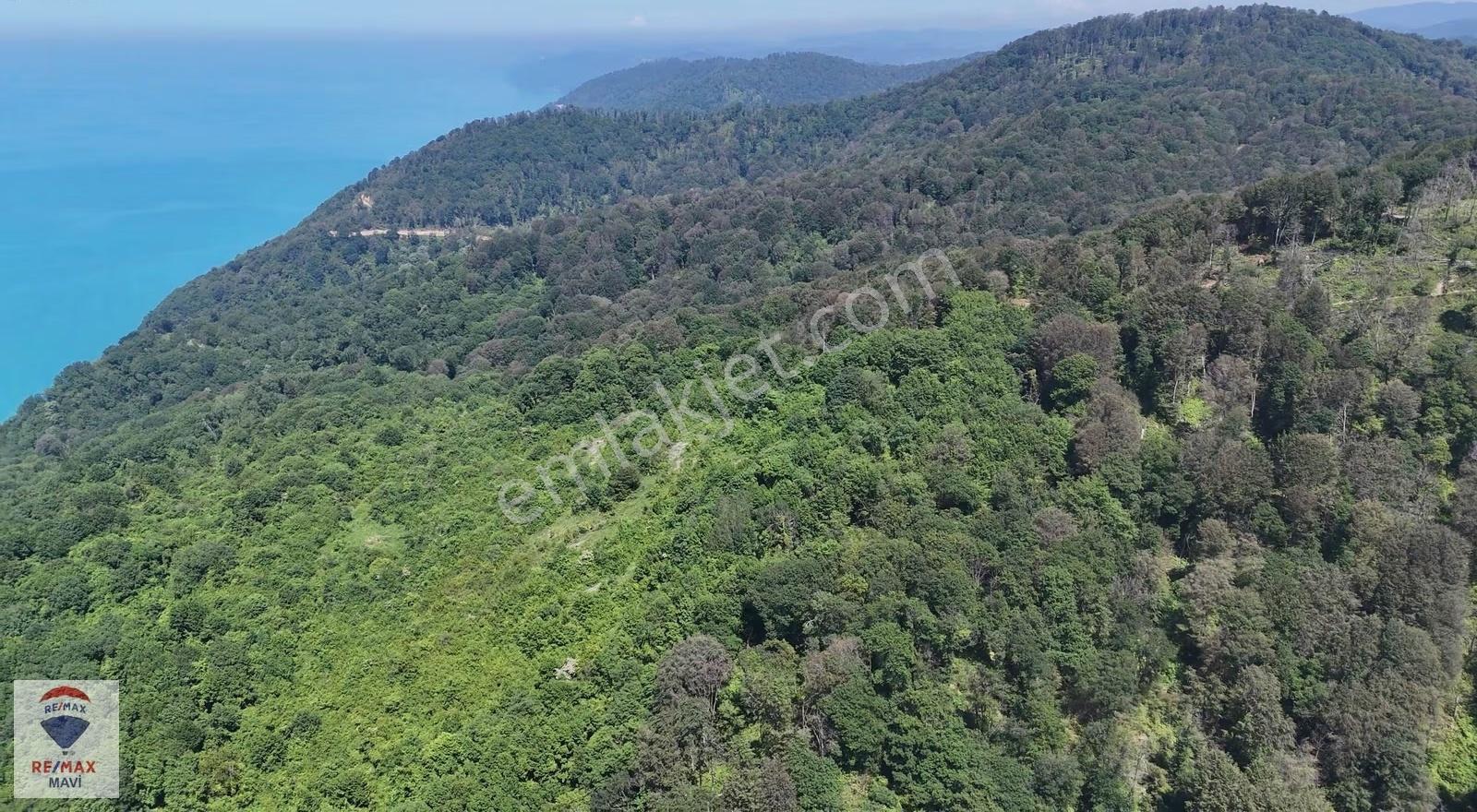 Armutçuk Da Deniz Manzaralı 5.918 M² Satılık Arazi