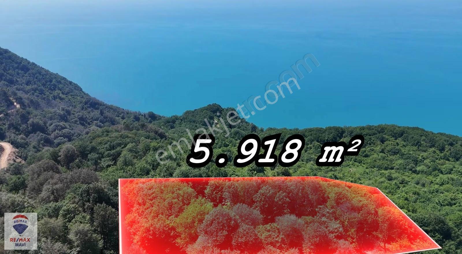 Armutçuk Da Deniz Manzaralı 5.918 M² Satılık Arazi - Görsel 4