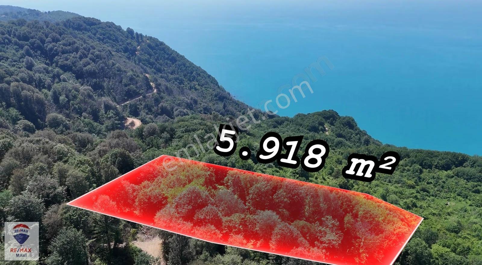 Armutçuk Da Deniz Manzaralı 5.918 M² Satılık Arazi - Görsel 6