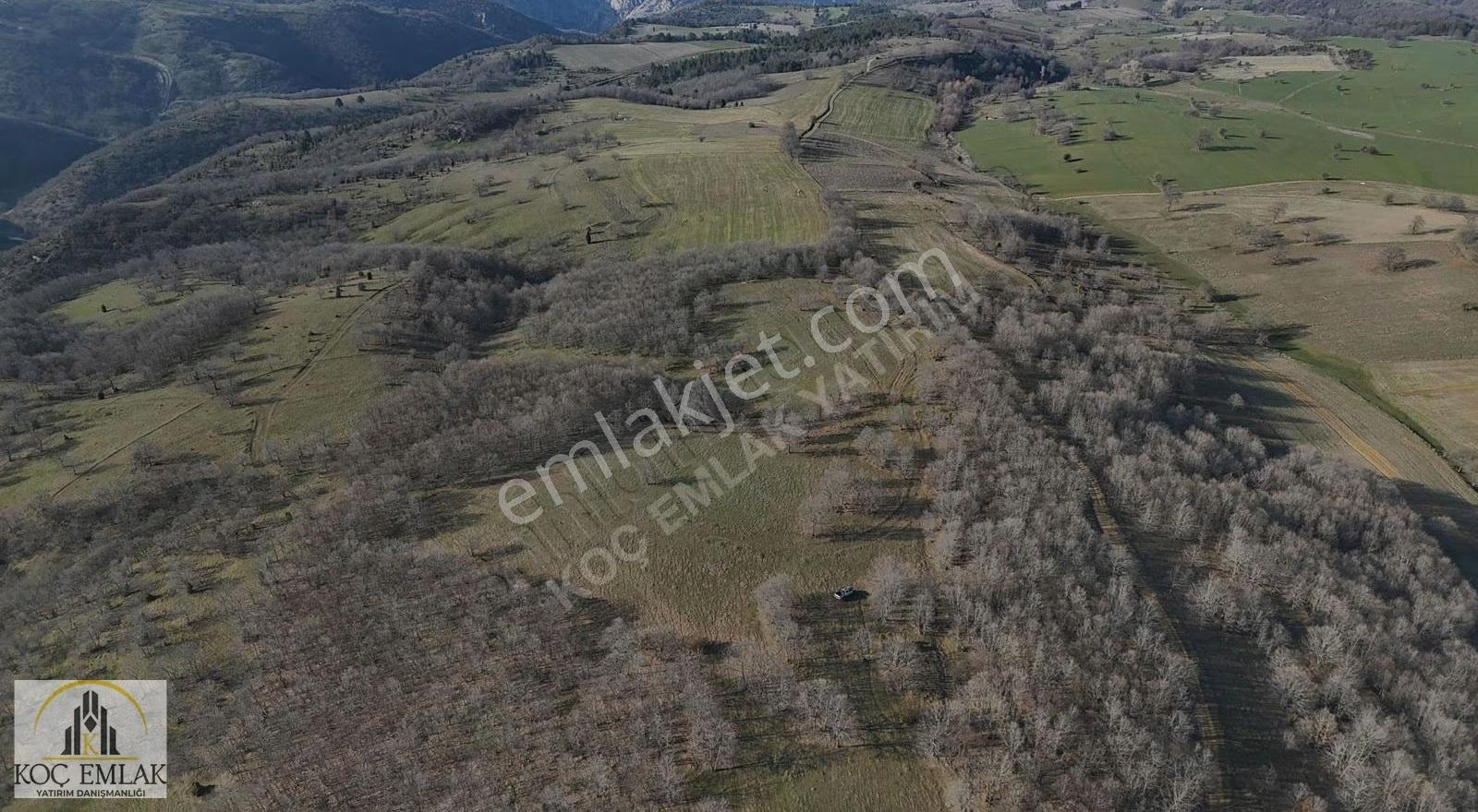 23.330 M2 Emsalsiz Fiyat !! Çiftlik Arazisi