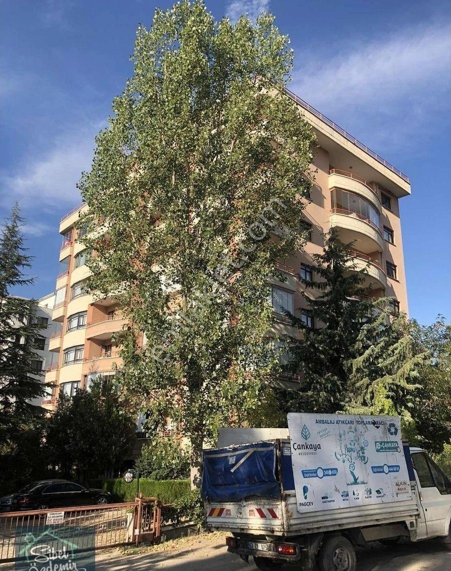 Çiğdem De Orman Manzaralı 4 + 1 Daire - Görsel 13