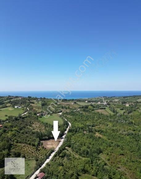 Sinop,yola Cephe Köy Yerleşik Alan İçinde 1195 M² Satılık Tarla - Görsel 7