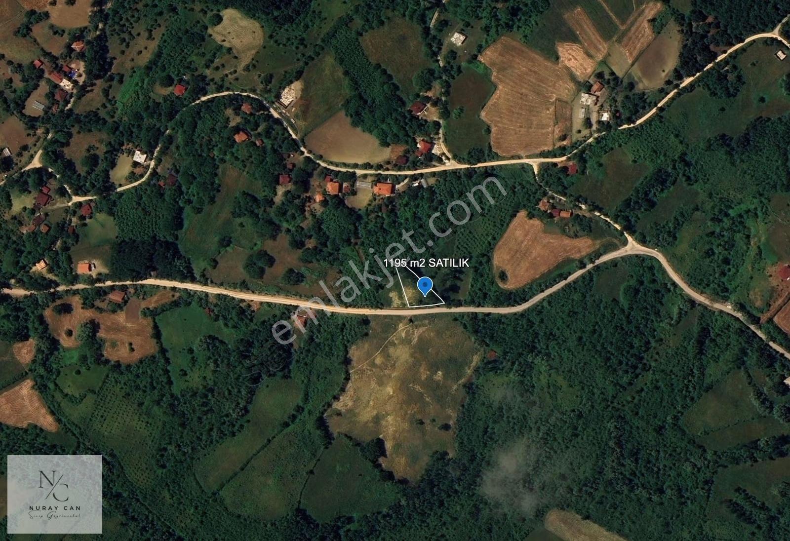 Sinop,yola Cephe Köy Yerleşik Alan İçinde 1195 M² Satılık Tarla - Görsel 8