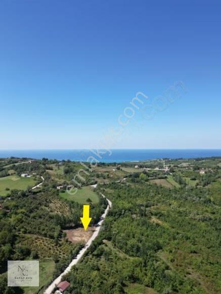 Sinop,yola Cephe Köy Yerleşik Alan İçinde 1195 M² Satılık Tarla
