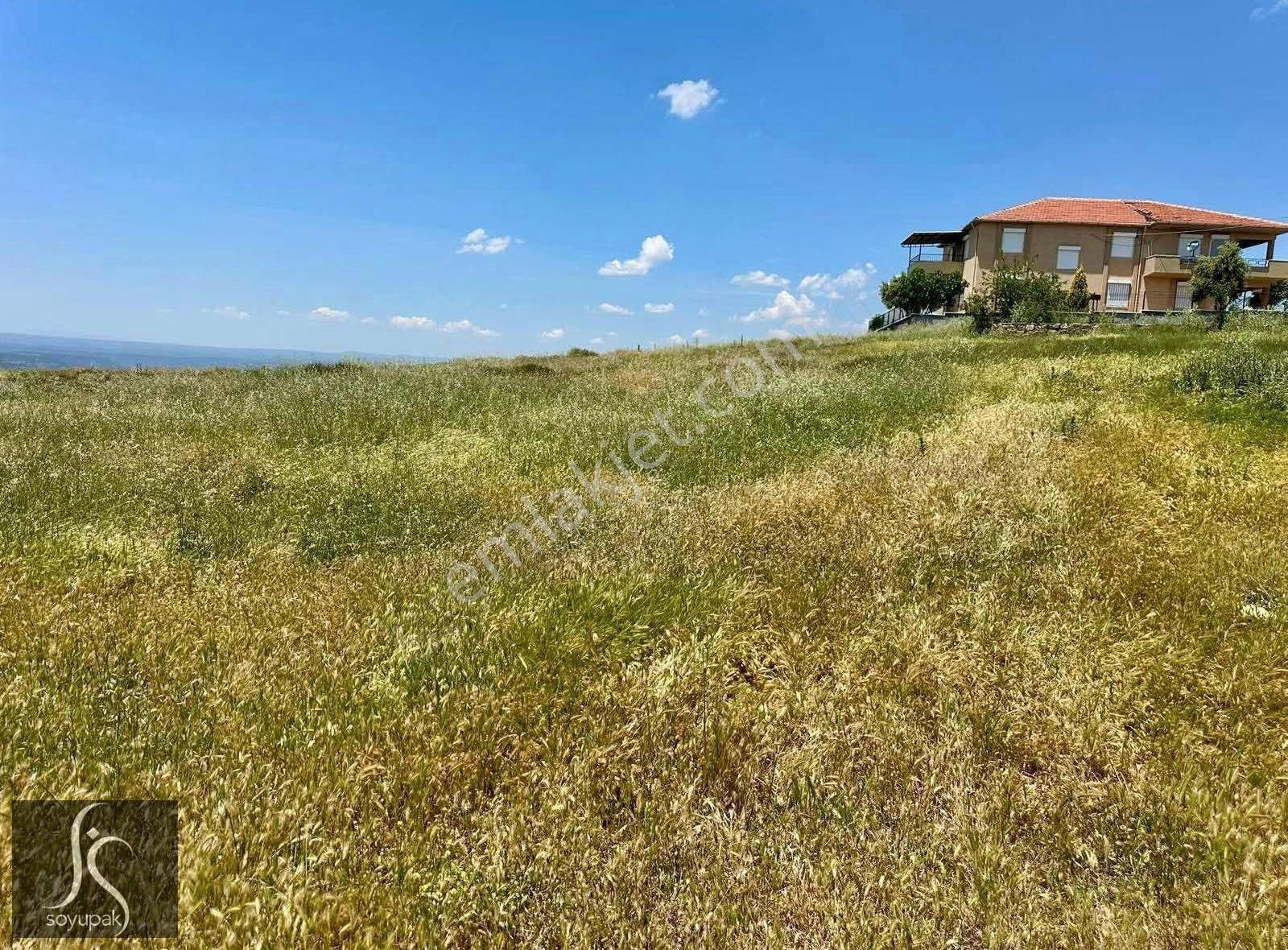 Denizli Bekilli Çoğaşlı 101 Ada 6 Par 494m2 Konut Arsası - Görsel 2