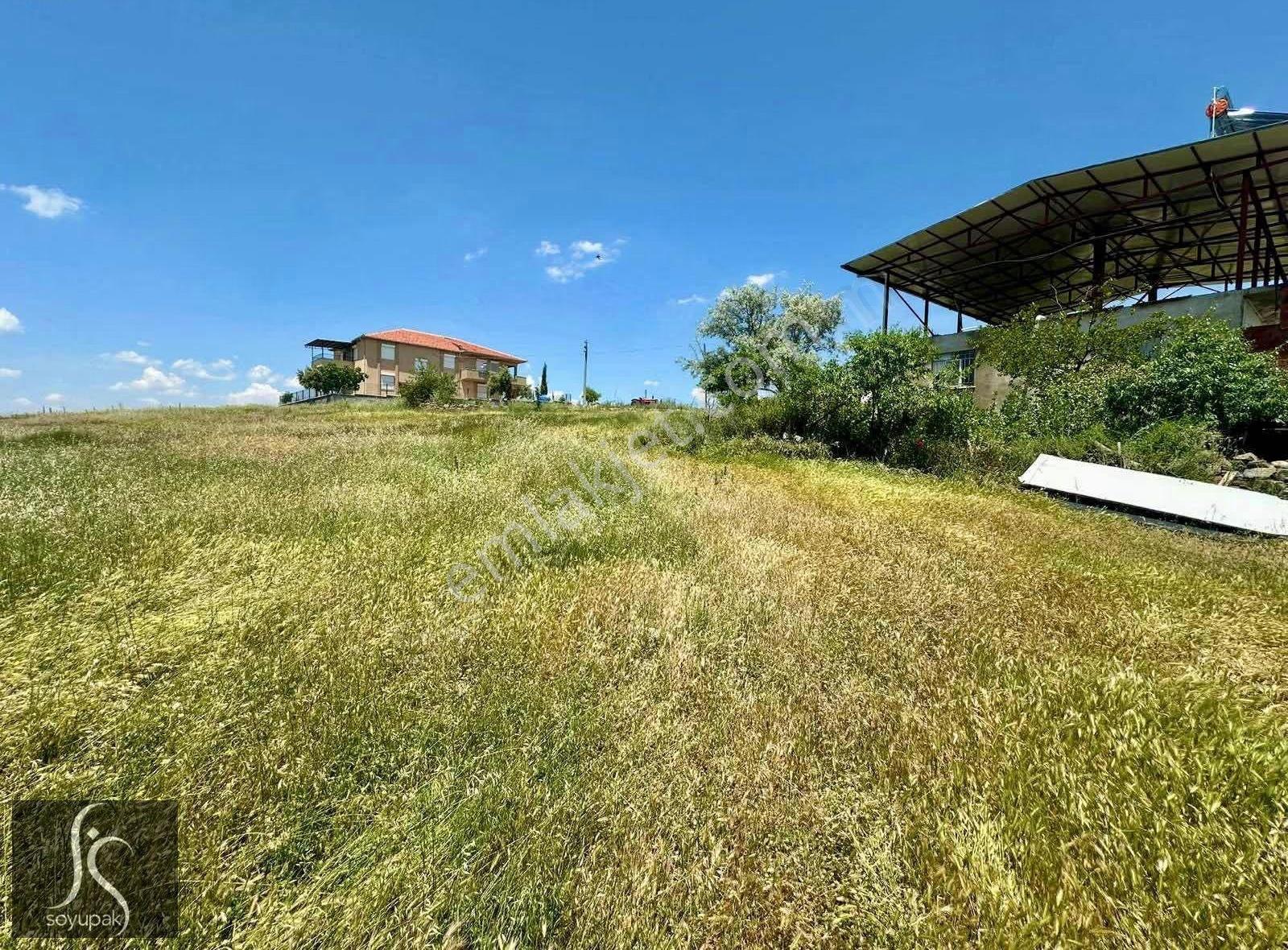 Denizli Bekilli Çoğaşlı 101 Ada 6 Par 494m2 Konut Arsası - Görsel 5