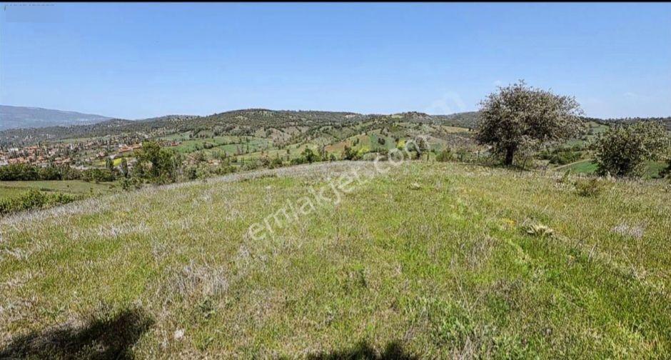 Kepsutta 11575 M Köye Yakin Satılık Tarla - Görsel 2