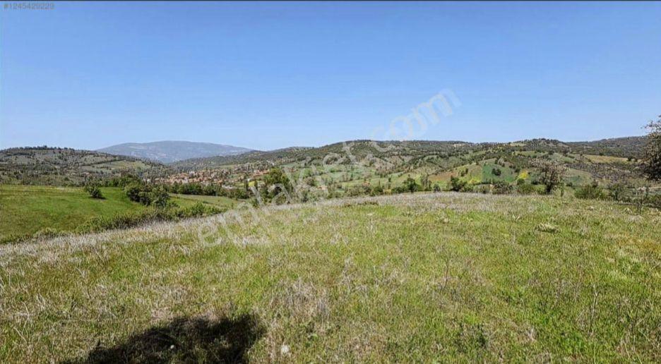 Kepsutta 11575 M Köye Yakin Satılık Tarla - Görsel 3
