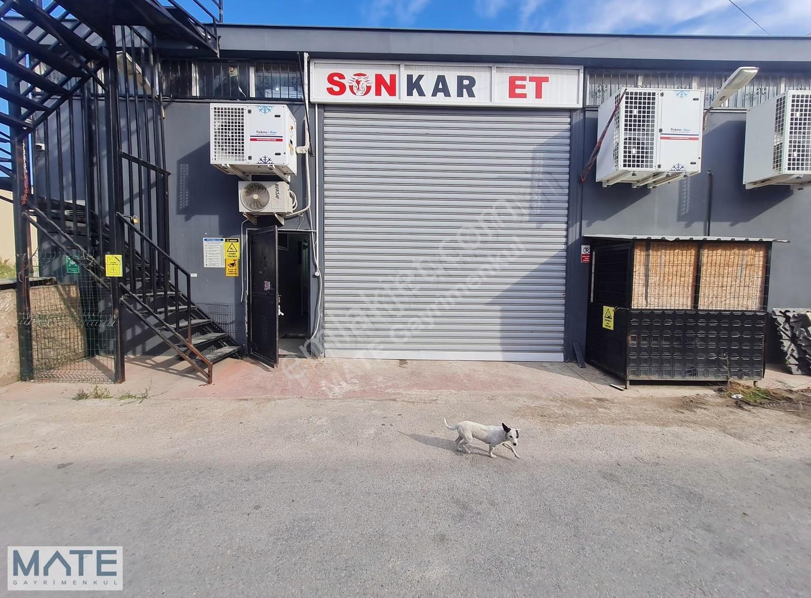 Sanayi'de Devren Satılık Et İşleme Ve Soğuk Hava Deposu - Aktif - Görsel 24