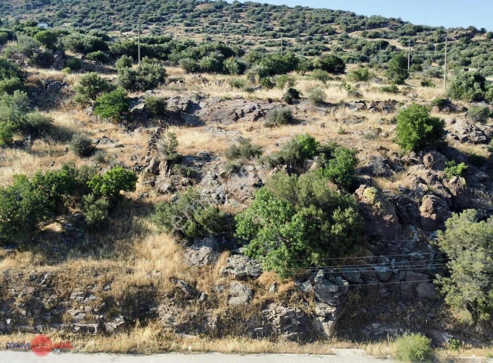 Eyko En Merkezi Konum En Geniş Deniz Manz. Bölgede Satılık Arsa - Görsel 6