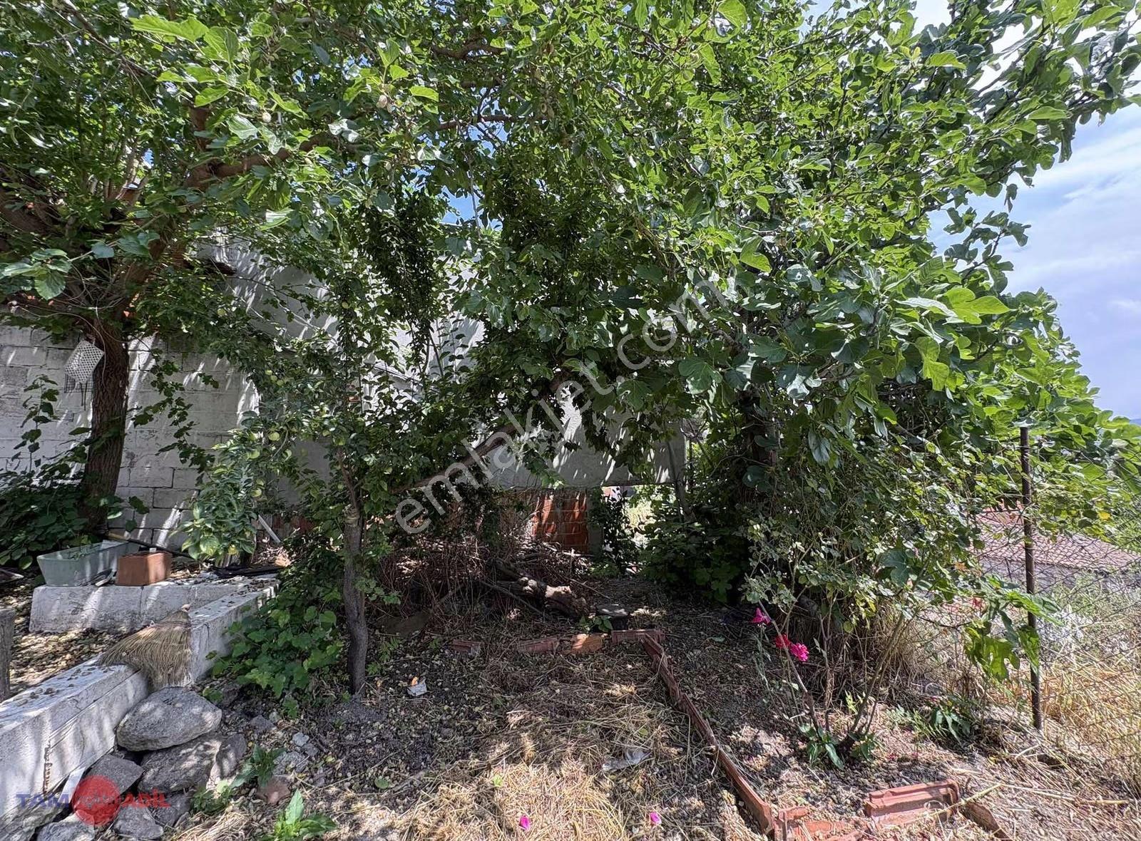 Bergama Ulucami Mahallesinde 225 M2 Satılık Taşev - Görsel 2