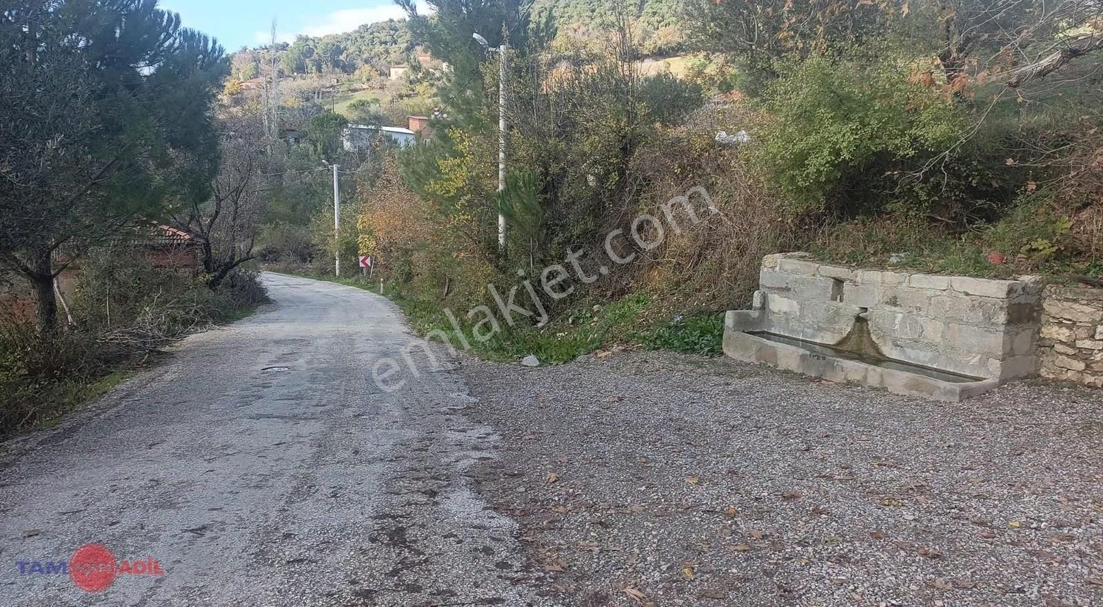 Bergama Topalar Mah. Tek Katlı Evi Olan Zeytinlik - Görsel 8