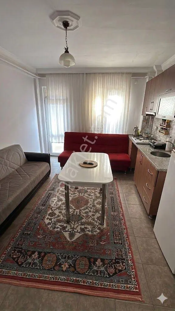 Sahibinden Eşyalı Atatürk Mahallesinde 1+1 Kiralık Daire - Görsel 5