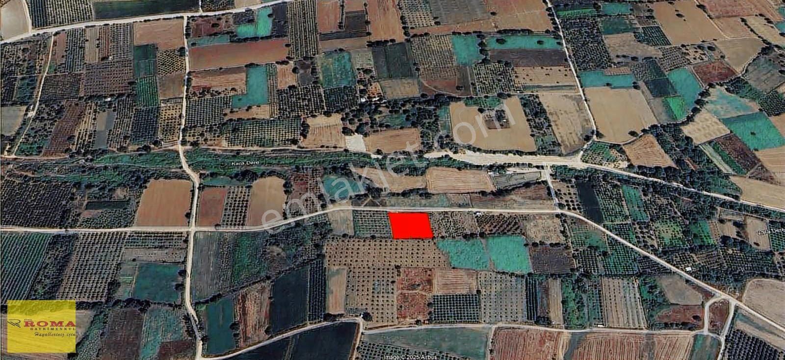 Roma' Dan Yeniceköyde Satılık Tarla - Görsel 15