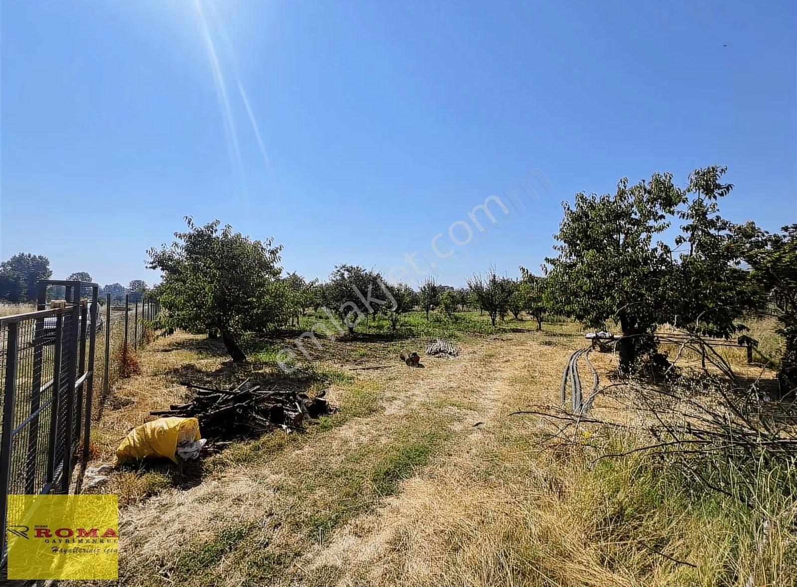 Roma' Dan Yeniceköyde Satılık Tarla - Görsel 7