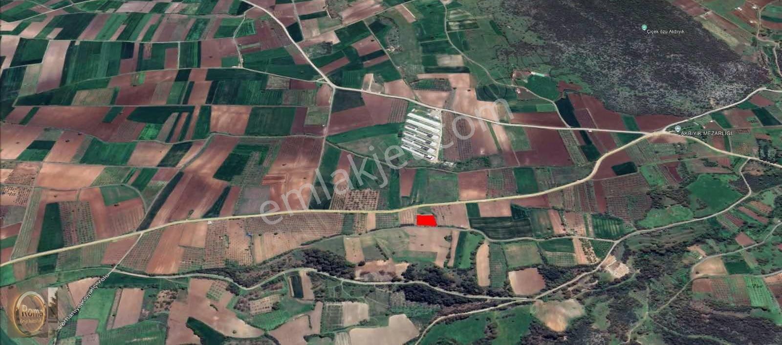 Roma' Dan Akbıyıkta Satılık Tarla - Görsel 4