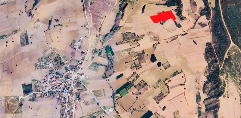 Roma' Dan Alaylı Mahallesi' Nde Satılık Tarla - Görsel 2