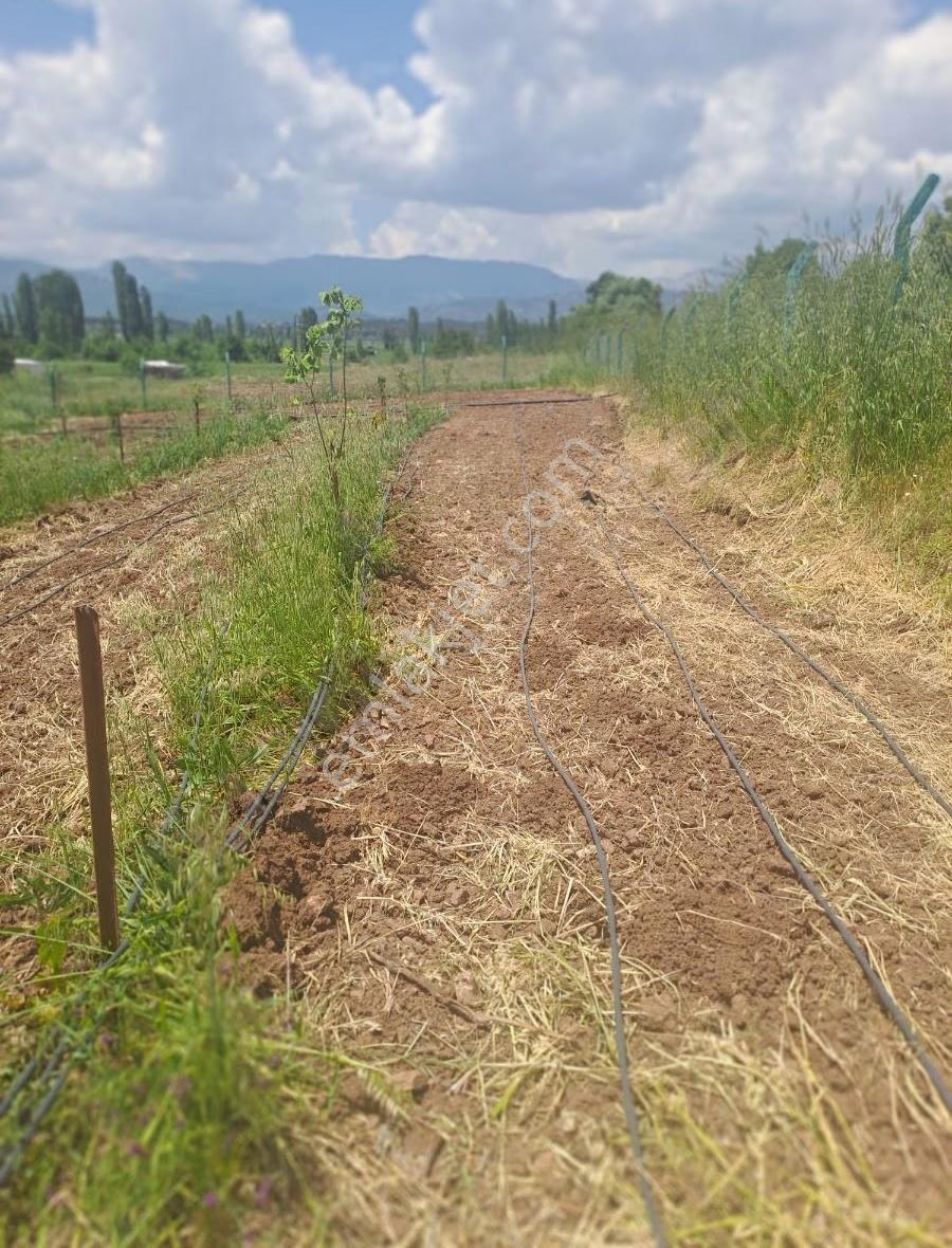 Konya Beyşehir Usanmaz Eml Kayabaşı'ndan Satılık 722 Metre Tarla - Görsel 22