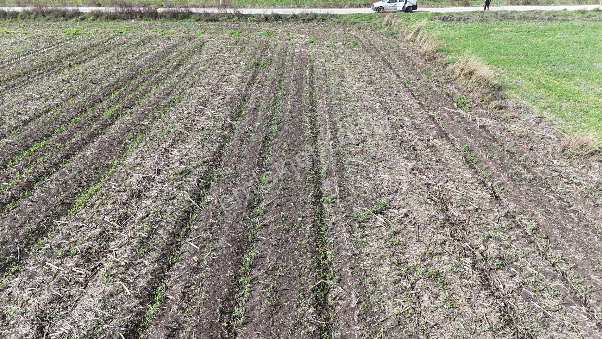 İzmir Menderes Tekelide 4644 M2 1/2 Hisseli Asalt Yol Cepheli - Görsel 21