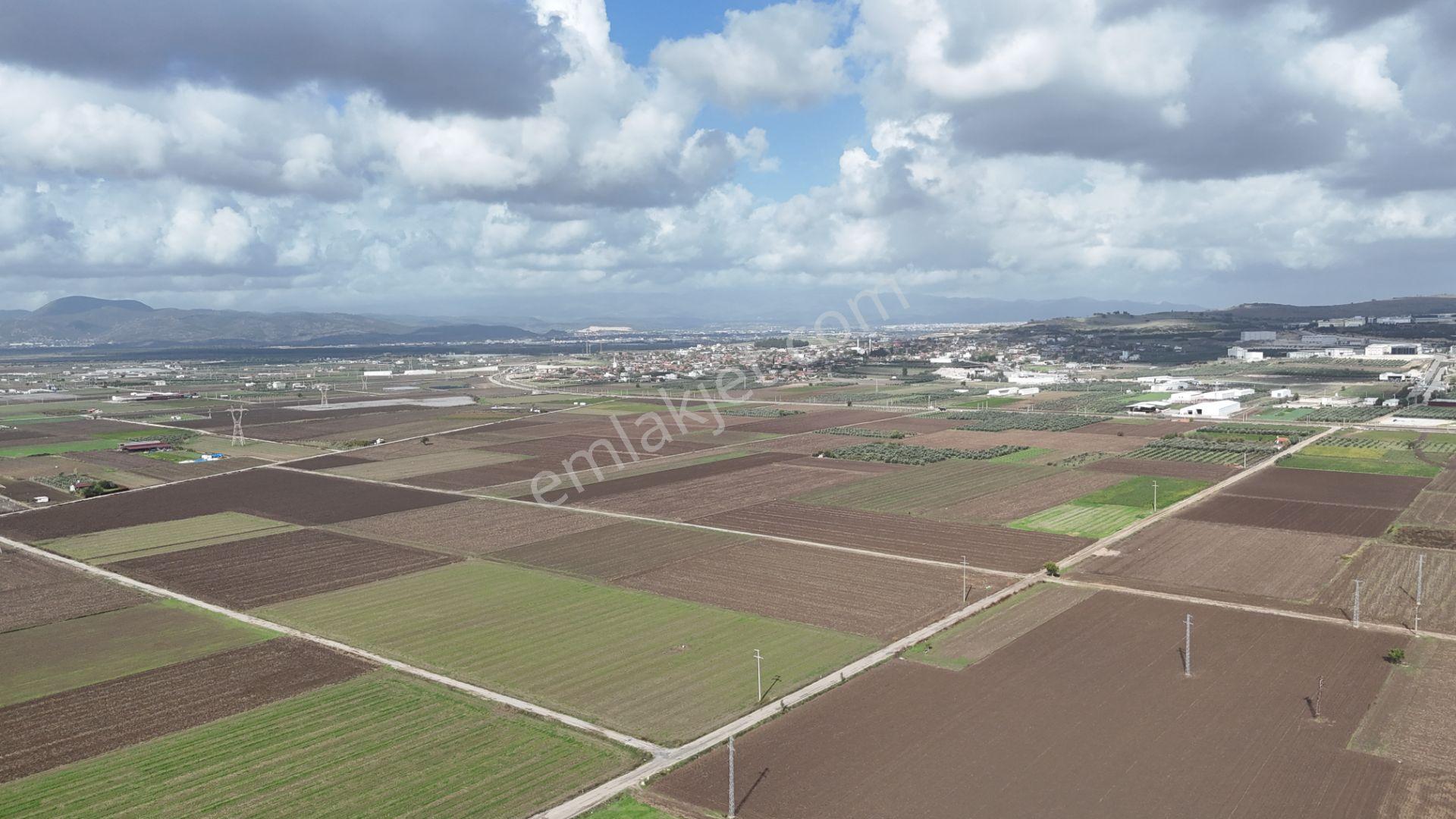 İzmir Menderes Tekelide 4644 M2 1/2 Hisseli Asalt Yol Cepheli - Görsel 34