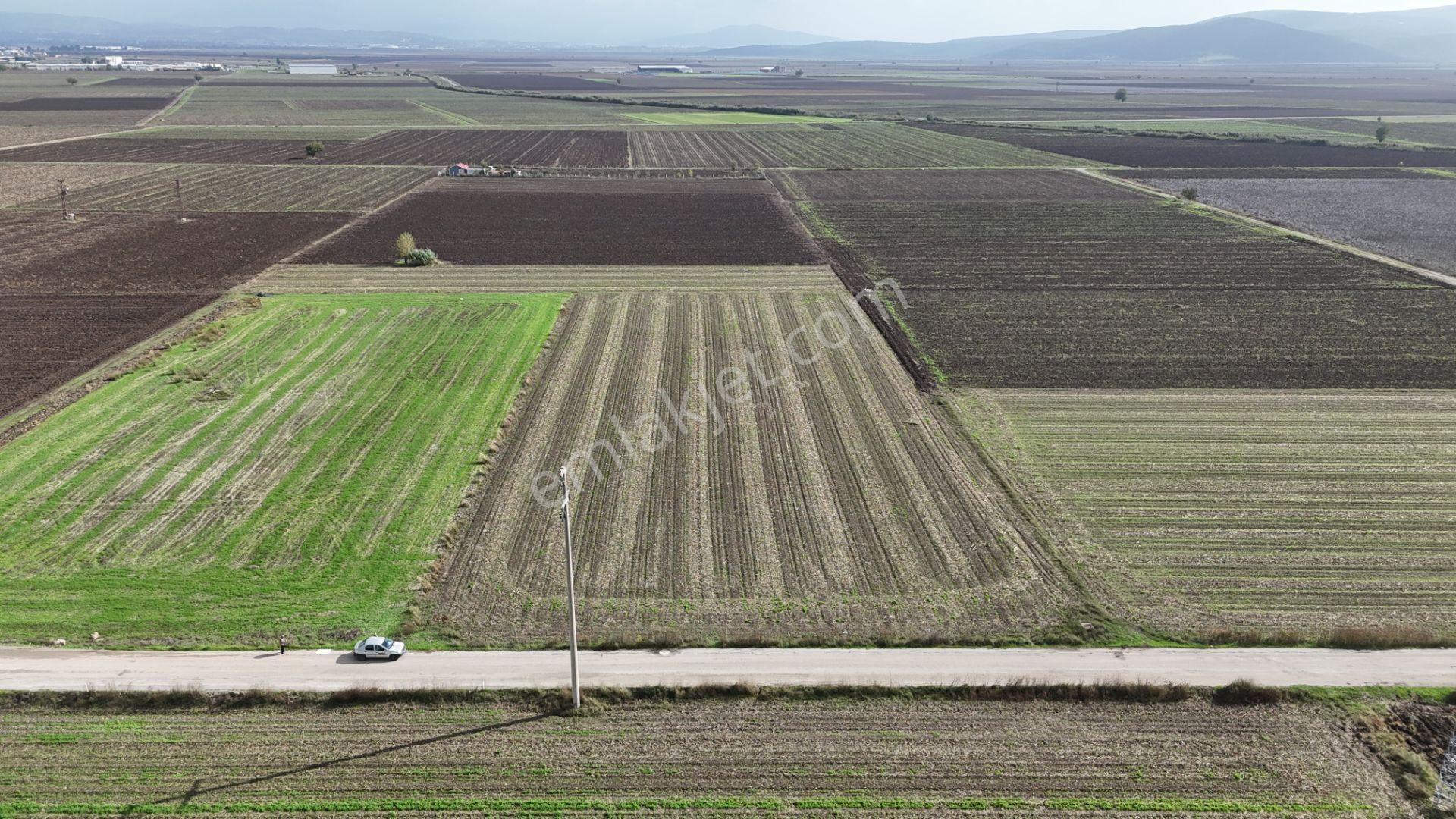 İzmir Menderes Tekelide 4644 M2 1/2 Hisseli Asalt Yol Cepheli - Görsel 25