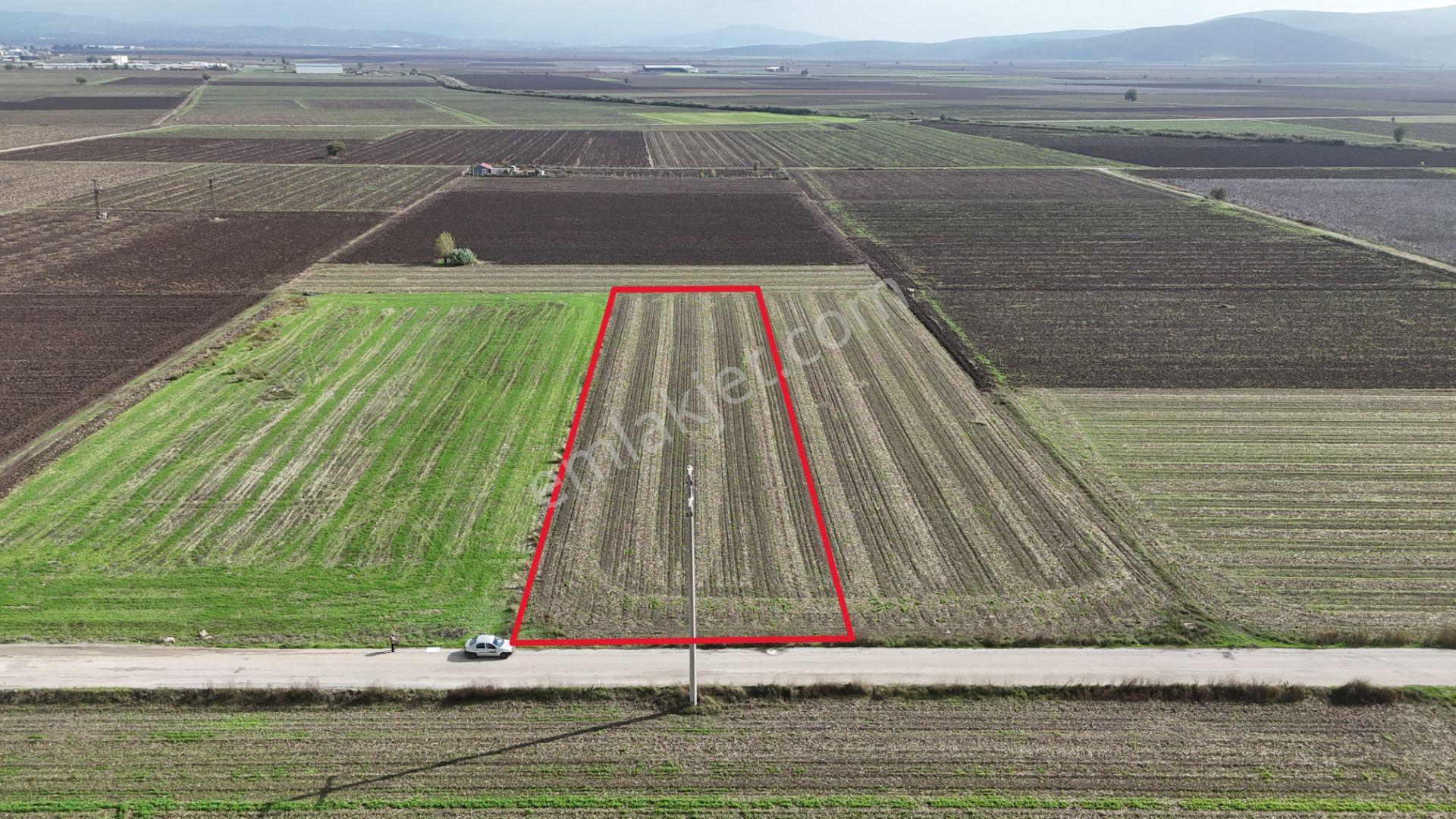 İzmir Menderes Tekelide 4644 M2 1/2 Hisseli Asalt Yol Cepheli - Görsel 17
