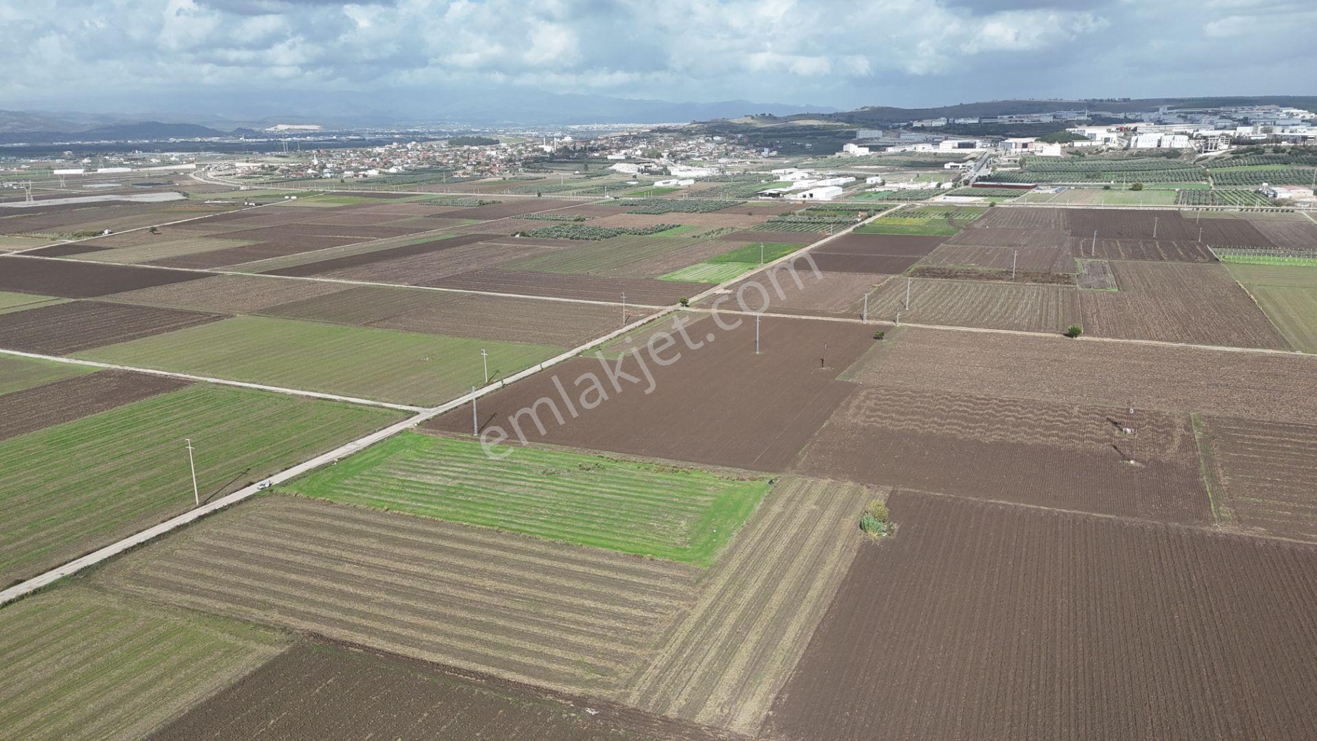 İzmir Menderes Tekelide 4644 M2 1/2 Hisseli Asalt Yol Cepheli - Görsel 19