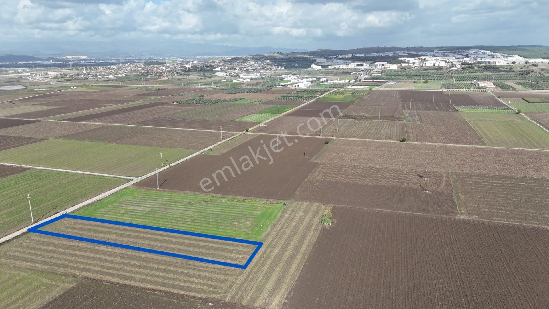 İzmir Menderes Tekelide 4644 M2 1/2 Hisseli Asalt Yol Cepheli - Görsel 10