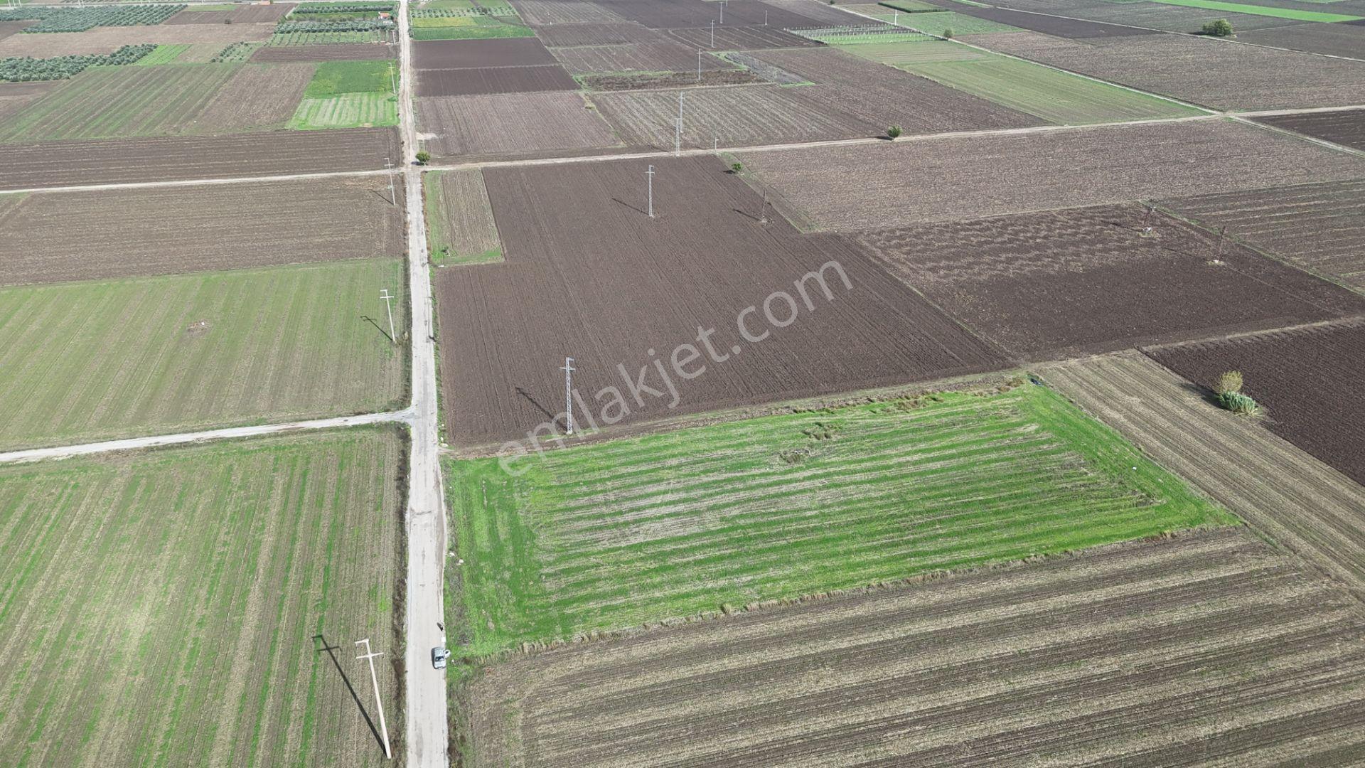İzmir Menderes Tekelide 4644 M2 1/2 Hisseli Asalt Yol Cepheli - Görsel 29