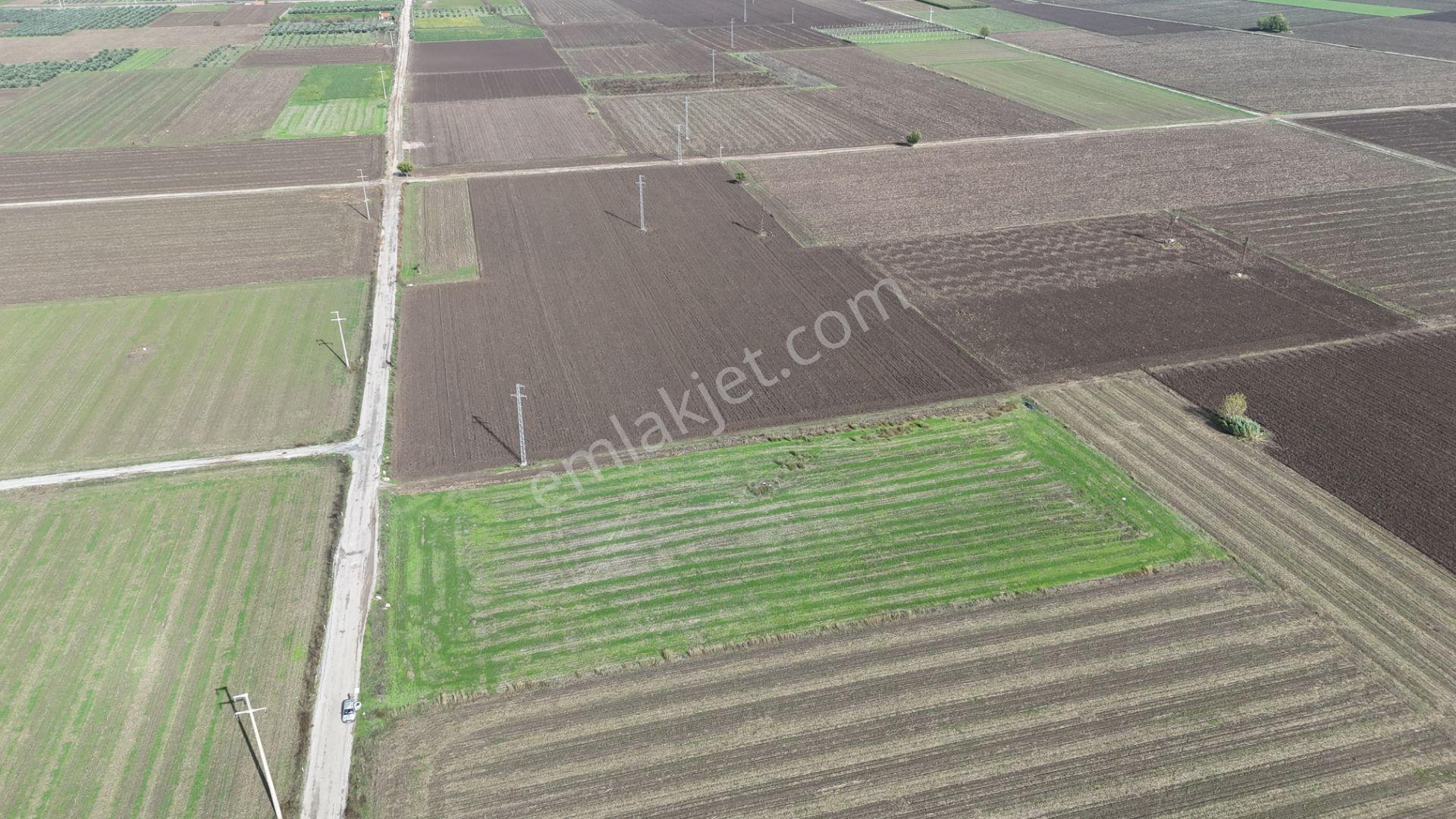 İzmir Menderes Tekelide 4644 M2 1/2 Hisseli Asalt Yol Cepheli - Görsel 18