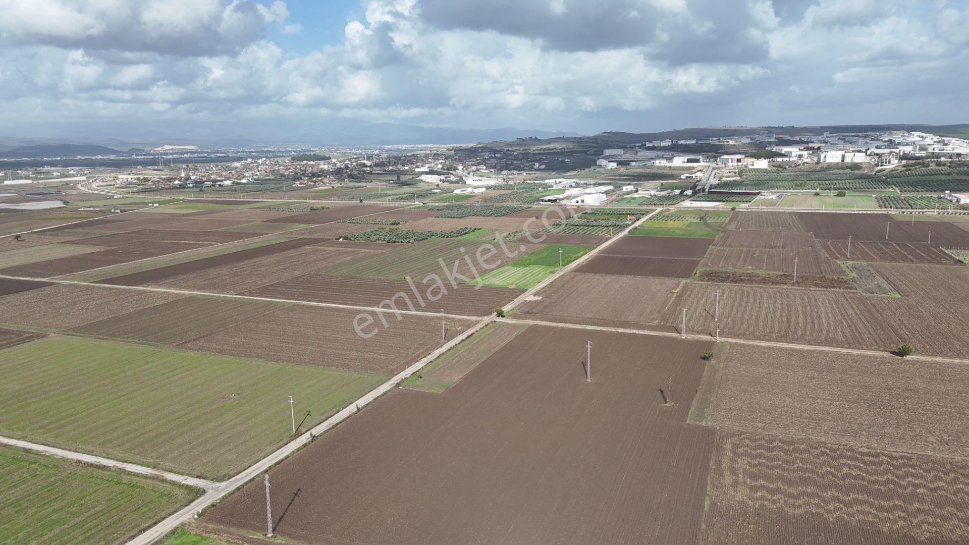 İzmir Menderes Tekelide 4644 M2 1/2 Hisseli Asalt Yol Cepheli - Görsel 6