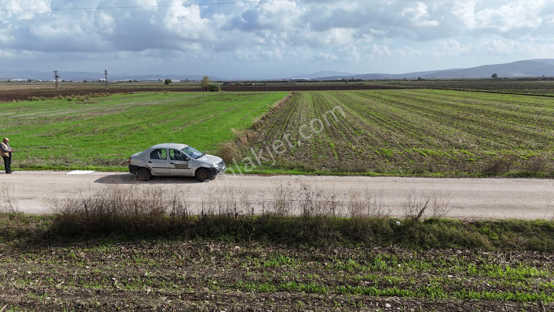 İzmir Menderes Tekelide 4644 M2 1/2 Hisseli Asalt Yol Cepheli - Görsel 30