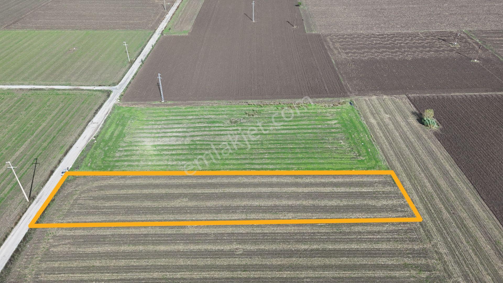 İzmir Menderes Tekelide 4644 M2 1/2 Hisseli Asalt Yol Cepheli - Görsel 8
