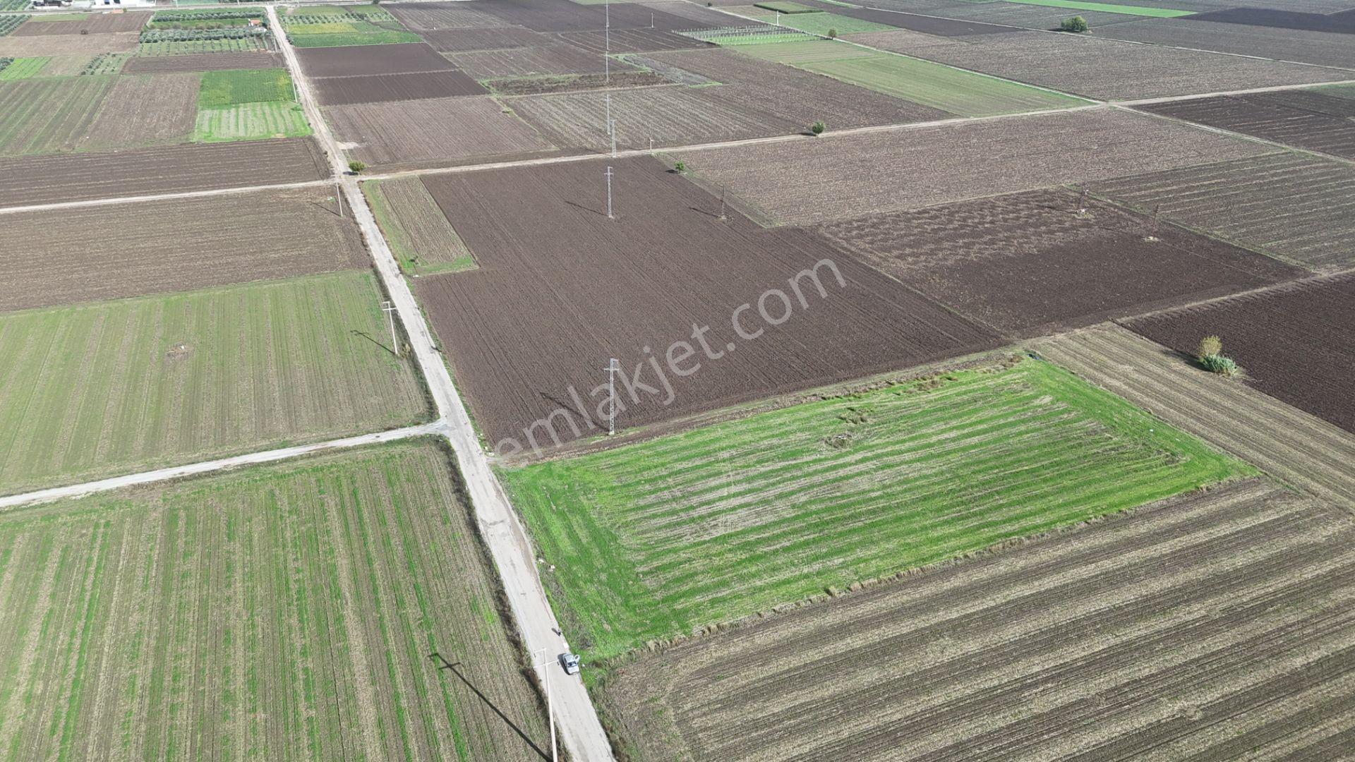 İzmir Menderes Tekelide 4644 M2 1/2 Hisseli Asalt Yol Cepheli - Görsel 15
