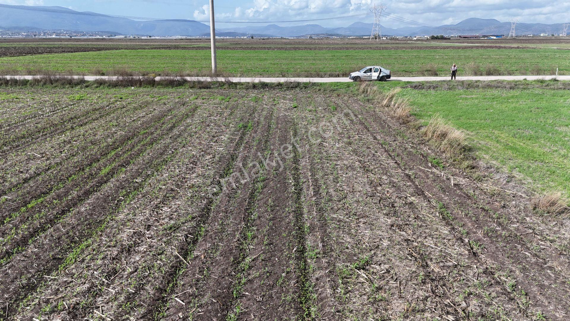 İzmir Menderes Tekelide 4644 M2 1/2 Hisseli Asalt Yol Cepheli - Görsel 23