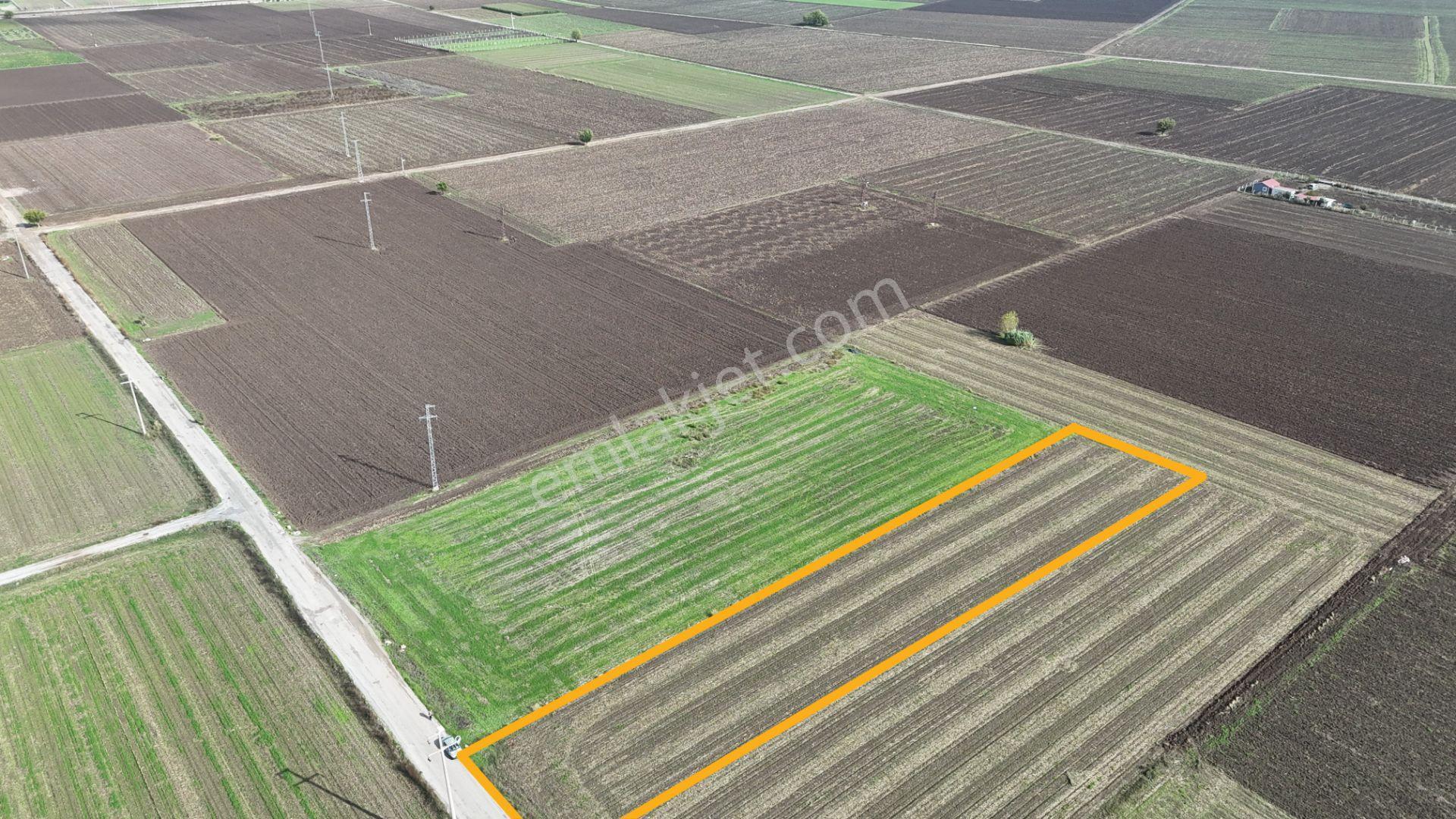 İzmir Menderes Tekelide 4644 M2 1/2 Hisseli Asalt Yol Cepheli - Görsel 4