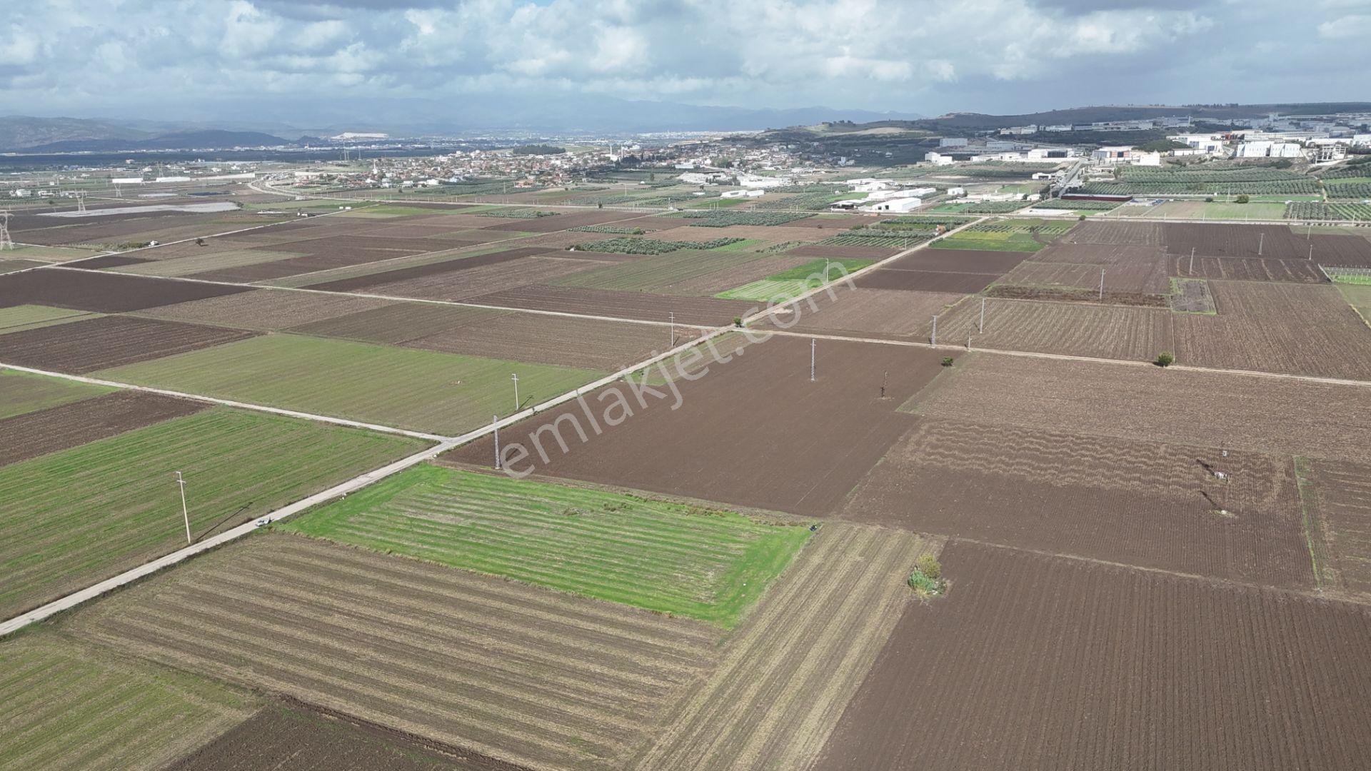 İzmir Menderes Tekelide 4644 M2 1/2 Hisseli Asalt Yol Cepheli - Görsel 11