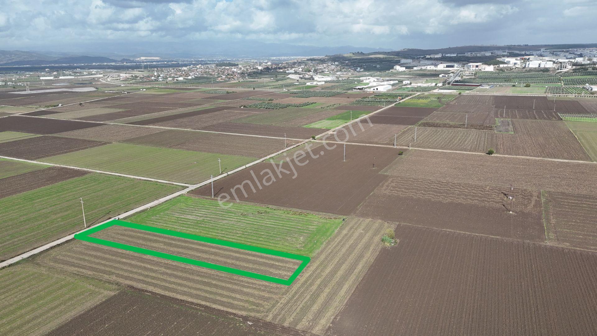 İzmir Menderes Tekelide 4644 M2 1/2 Hisseli Asalt Yol Cepheli - Görsel 26