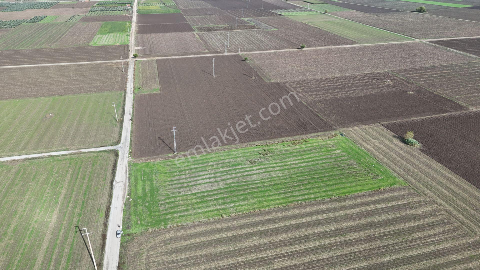 İzmir Menderes Tekelide 4644 M2 1/2 Hisseli Asalt Yol Cepheli - Görsel 27