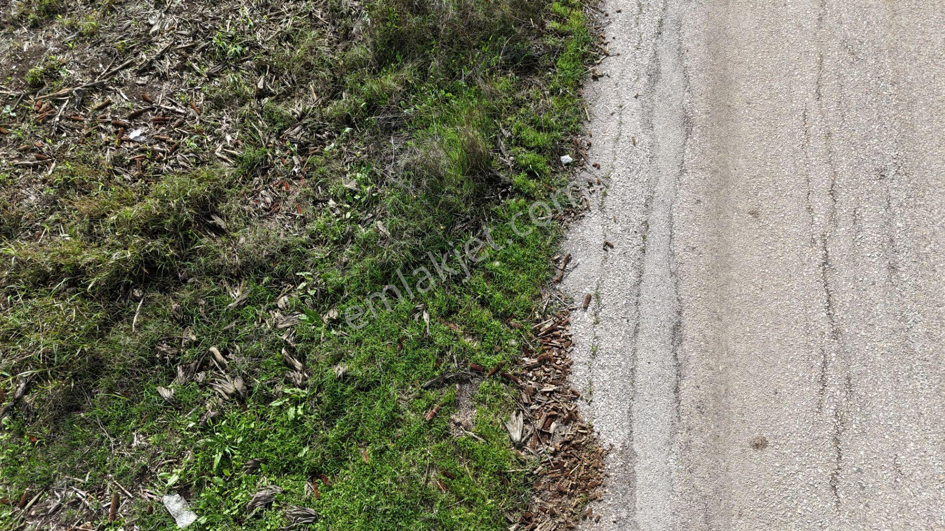 İzmir Menderes Tekelide 4644 M2 1/2 Hisseli Asalt Yol Cepheli - Görsel 33