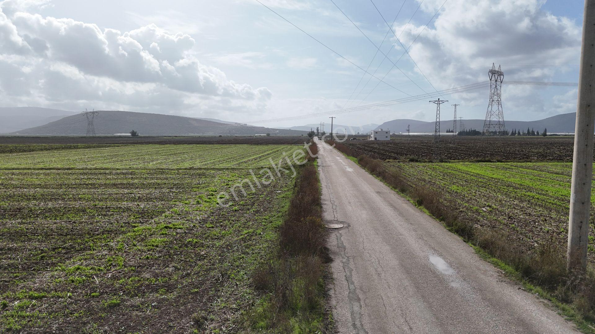 İzmir Menderes Tekelide 4644 M2 1/2 Hisseli Asalt Yol Cepheli - Görsel 31