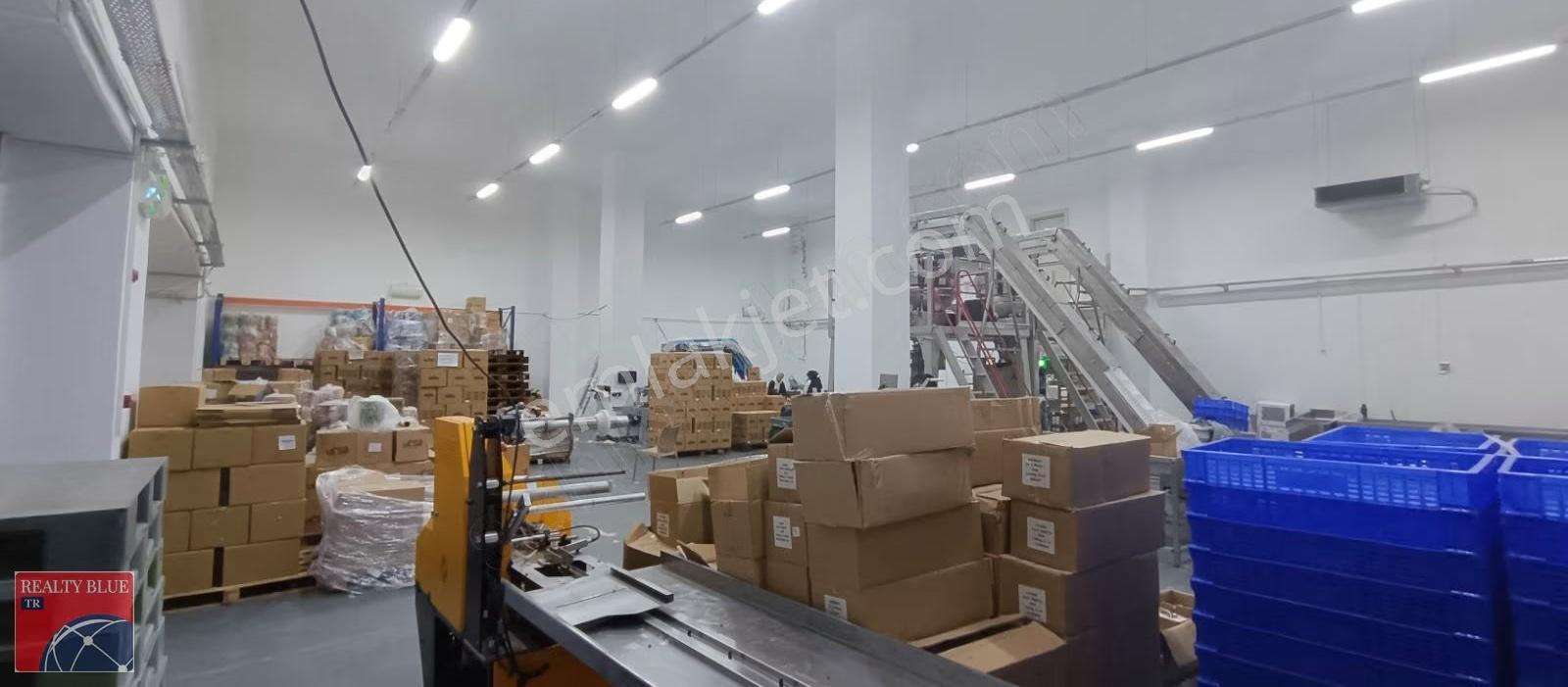 Kiralık Gıda Üretimine Ve İmalata Uygun Kullanışlı - Görsel 3