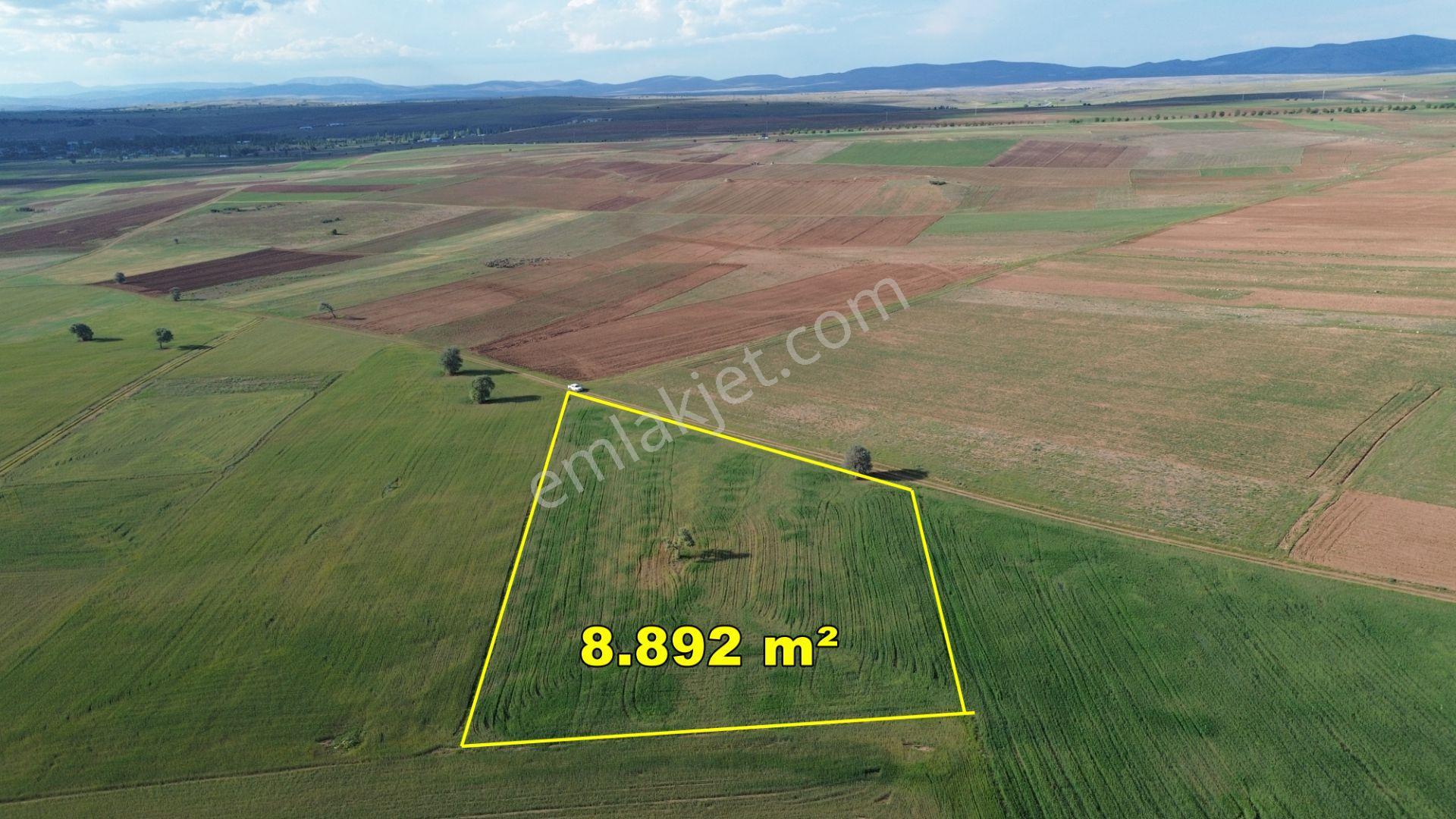 Akören Hacılar Mahallesinde 8.892 M² Müstakil Tapulu Tarla - Görsel 4