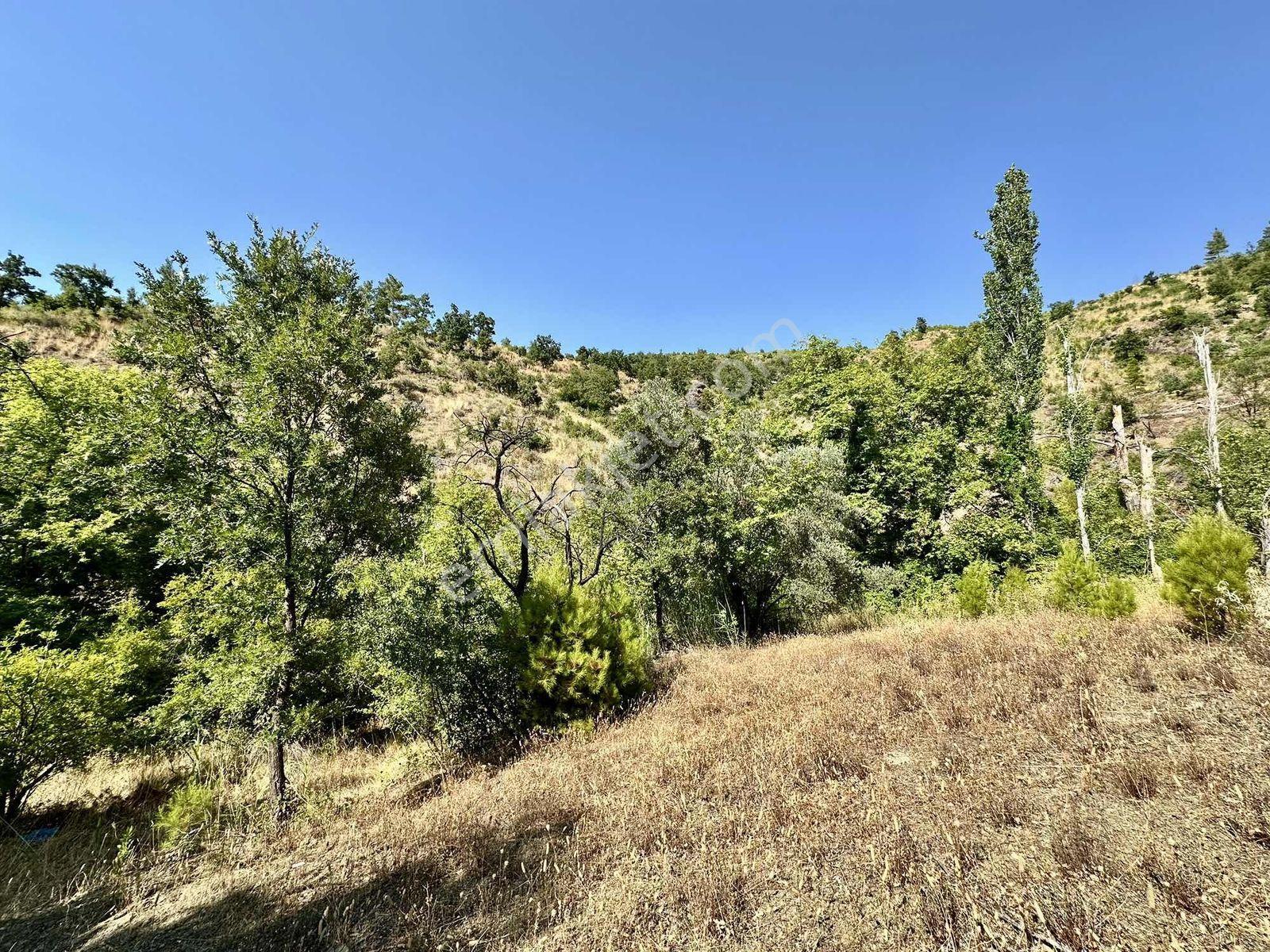Beldibinde Havalimanına 40 Km Mesafede Satılık 1.054 M2 Tarla - Görsel 11