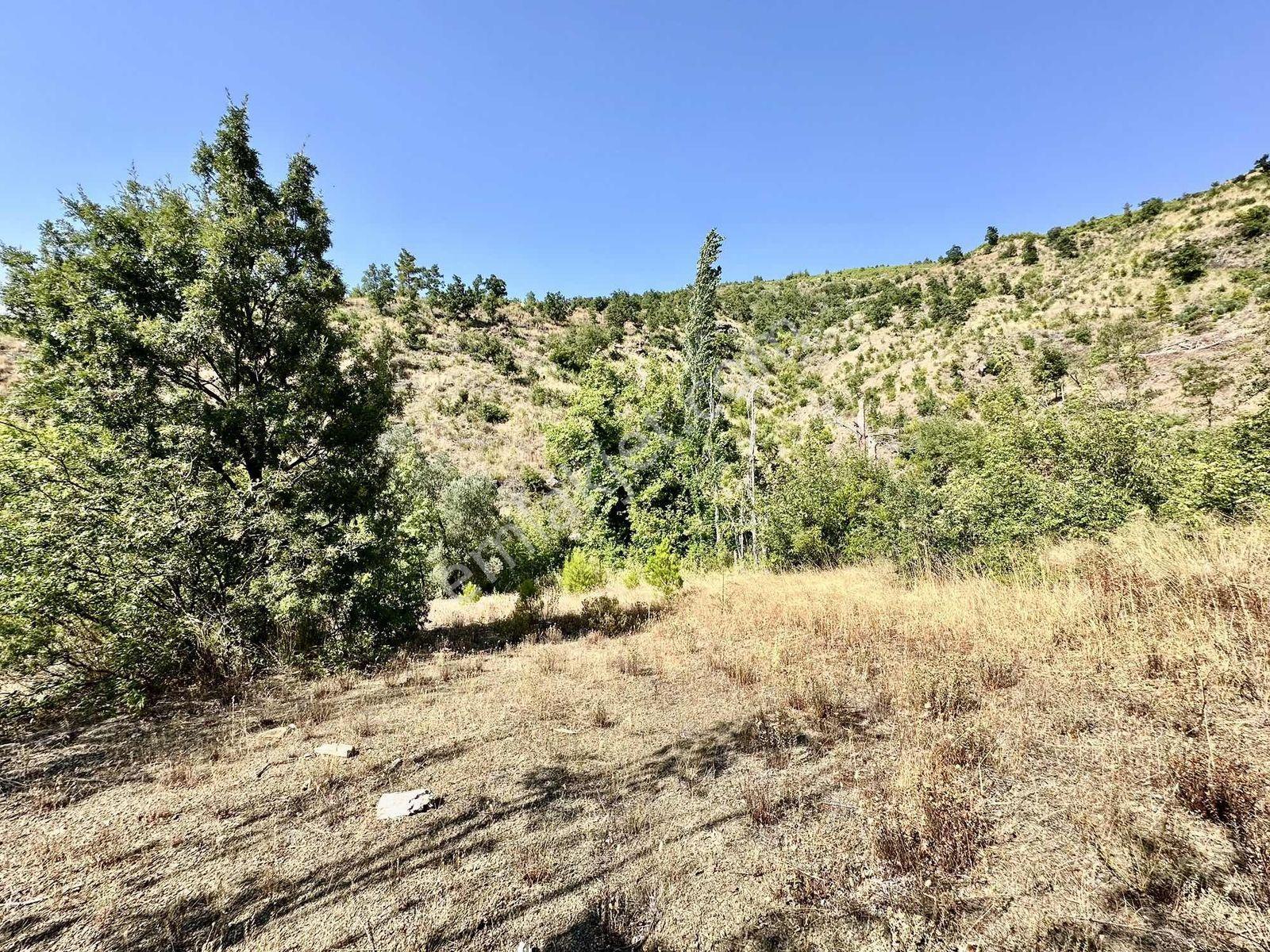 Beldibinde Havalimanına 40 Km Mesafede Satılık 1.054 M2 Tarla - Görsel 19