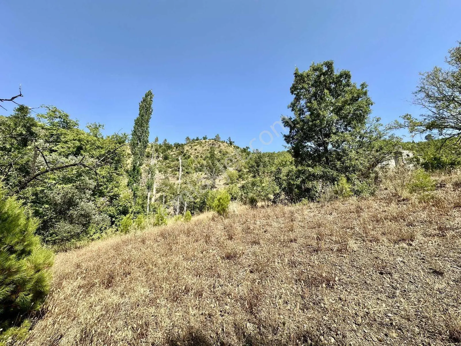 Beldibinde Havalimanına 40 Km Mesafede Satılık 1.054 M2 Tarla - Görsel 6