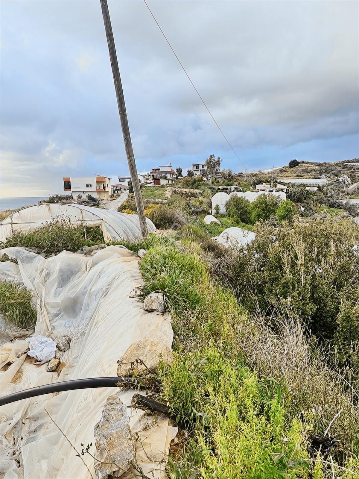 Alanya Yeşilöz Mahallesinde Satılık 2.532 M2 Tarla - Görsel 5